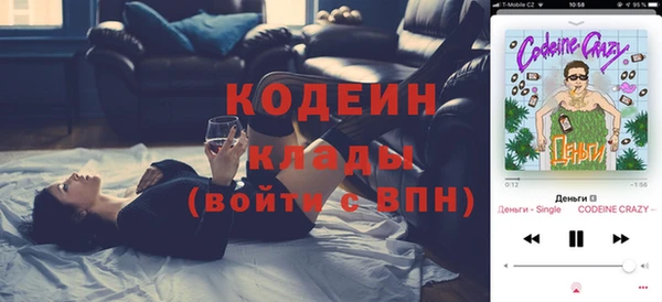 молекула духа Лагань