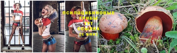 ALPHA PVP Алзамай